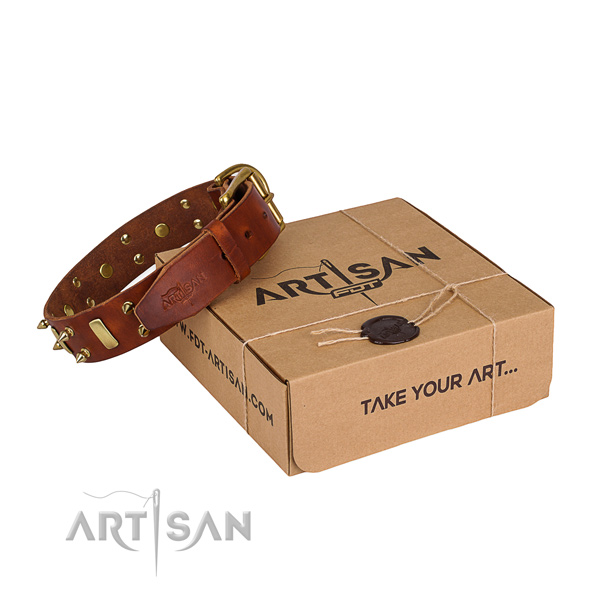 Everyday leather dog collar with cute studs