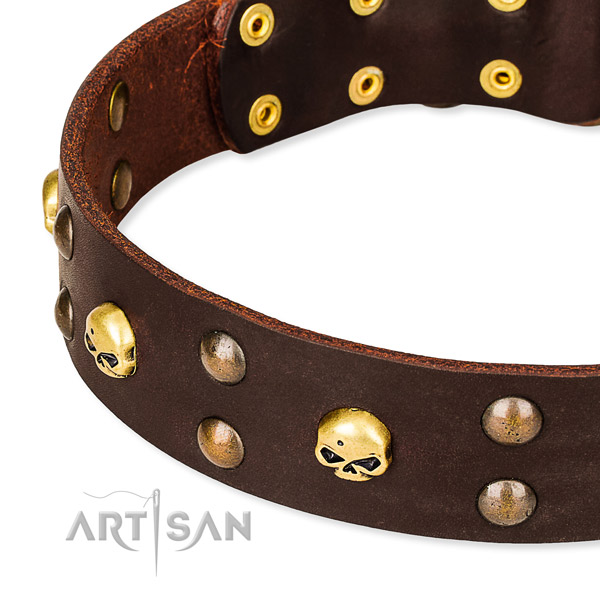 Top quality leather dog collar for reliable usage