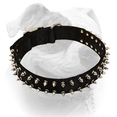2 rows of nickel spikes for nylon American Bulldog collar