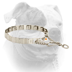 Stainless steel neck tech collar for American Bulldog