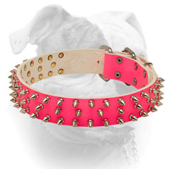 Shiny nickel spikes handset in 3 rows for pink leather American Bulldog collar