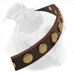 Fashionable Leather Collar With Metal Circles Decoration