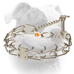 Strong American Bulldog pinch collar