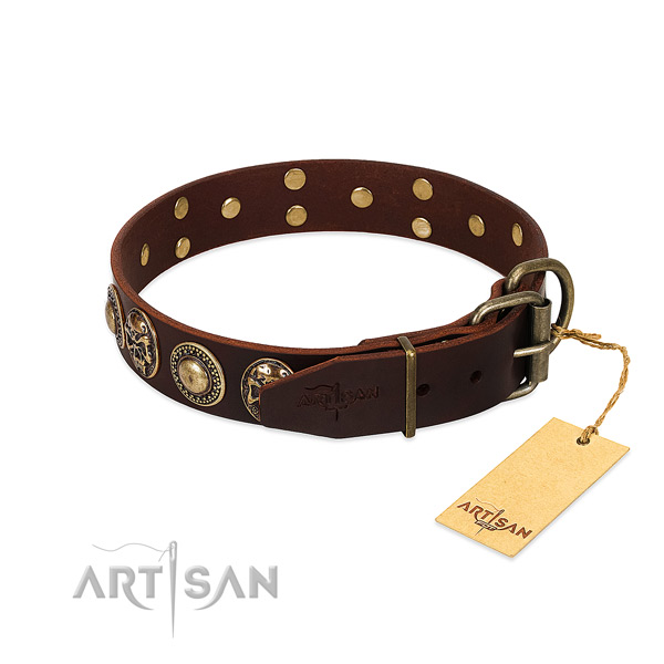 Corrosion proof embellishments on comfy wearing dog collar