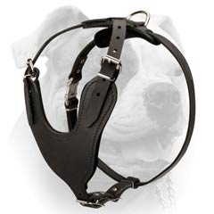 American Bulldog Leather Walking Harness