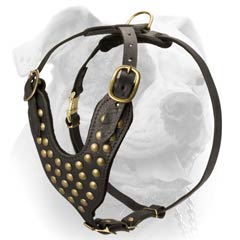 Decorative Leather Harness For American Bulldog