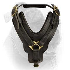 American Bulldog Durable Dog Leaher Harness