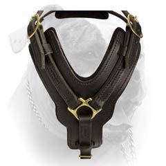 American Bulldog Durable Dog Leaher Harness