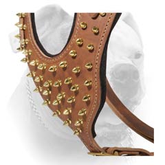 Agitation Decorative Harness For American Bulldog