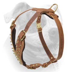 Spiked Leather Harness For American Bulldog