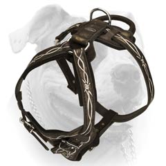 Agitation Decorative Leather Harness For American Bulldog