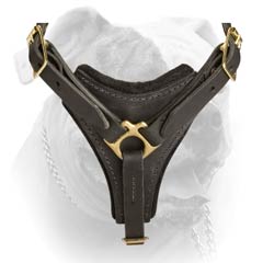 American Bulldog Leather Harness With Improved Comfort