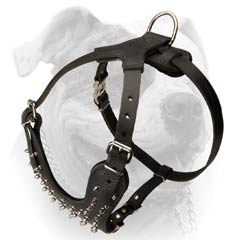 Agitation Decorative Harness For American Bulldog