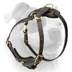 American Bulldog Durable Dog Leaher Harness