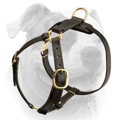 Elegant Leather Harness For American Bulldog