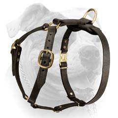 Walking Leather Harness For American Bulldog