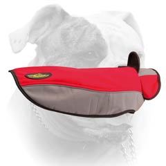 American Bulldog Winter Coat