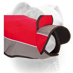 ALT FOR IMAGE-SMALL-2