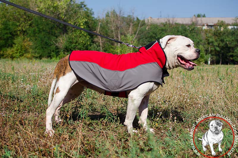 100 Winter Proof Coat For American Bulldog H14 1095 Soft Shell Coat American Bulldog Harness American Bulldog Muzzle American Bulldog Collar Dog leashes Dog training collars Prong collars pinch collar...