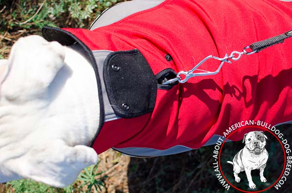 Warm American Bulldog coat of shell fabric