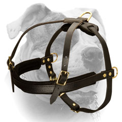 Easy Wearing Leather Dog Harness For Strong Breed