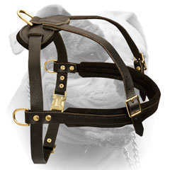 Free Moving Extra Comfort Leather Harness