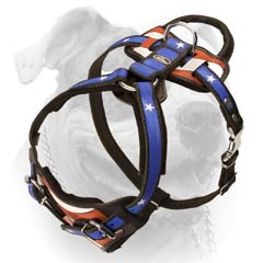 Leather American Bulldog harness with easy system of adjustment