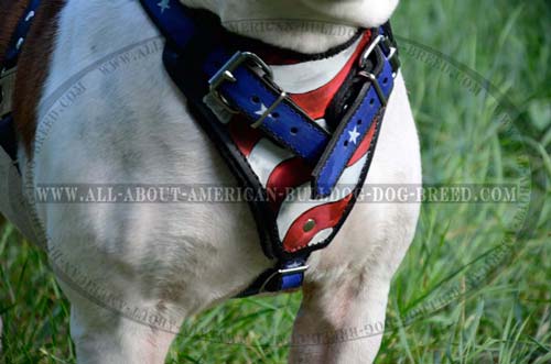 Wide chest plate handpainted for leather American Bulldog harness