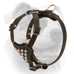 Shiny nickel pyramids for puppy harness