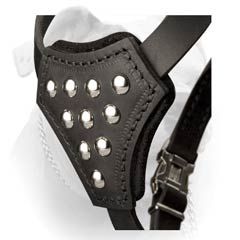 Shiny nickel studs for puppy harness
