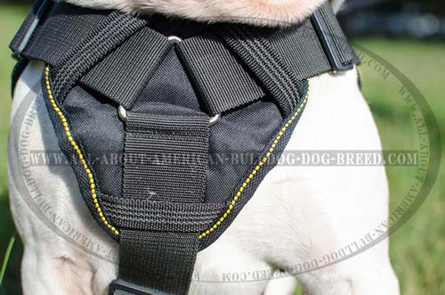 Nylon American Bulldog harness with cushion-like wide chest plate