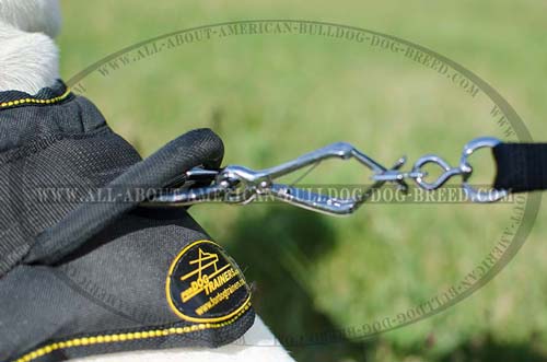 Reliable strong handle and nickel plated hardware for American Bulldog harness