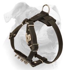 Easy adjustable American Bulldog puppy harness