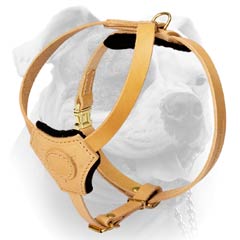 Tracking Tan Leather Harness For American-Bulldog