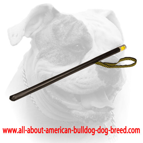 (image for) Agitation American Bulldog stick for Schutzhund training - Click Image to Close