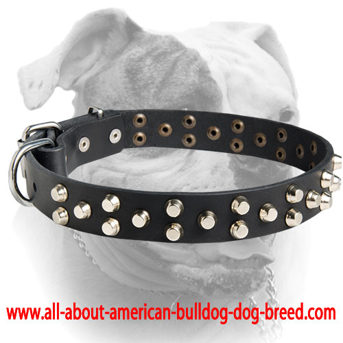 (image for) Small cuff links 3 rows American Bulldog leather dog collar