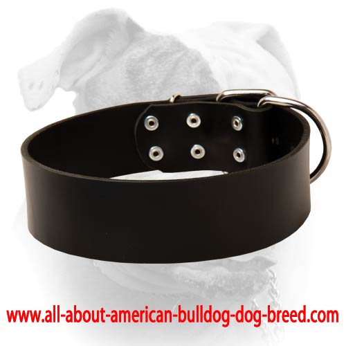 (image for) American Bulldog Leather Collar for Long Walking