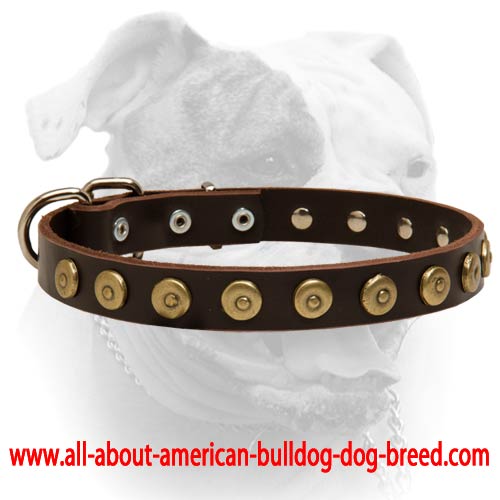 (image for) Leather Collar With Imitated Metal Buttons Decoration For American Bulldog