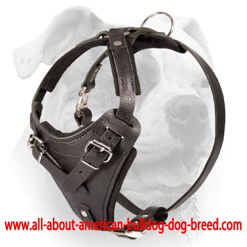 French Bulldog Leather Harness Black