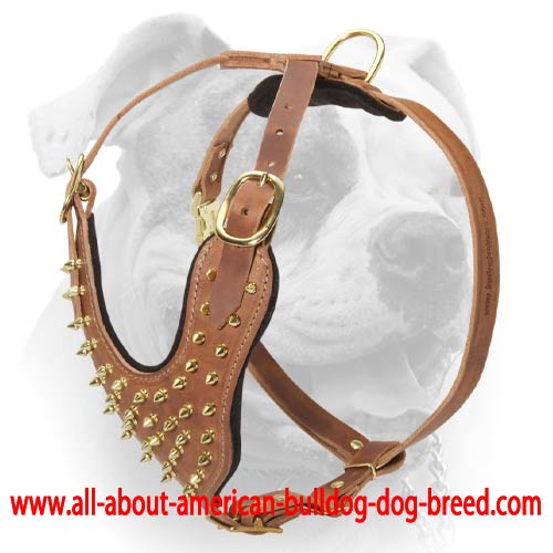 (image for) Stylish Leather Harness For American Bulldog
