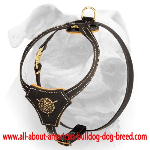 (image for) Decorative Tracking harness for American Bulldog