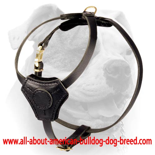 (image for) Sportive Leather Harness for American Bulldog