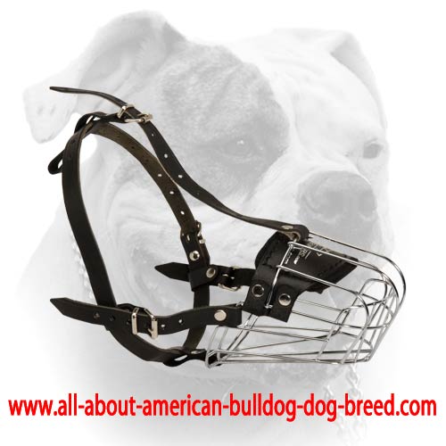 Basket Wire Dog Muzzle Light For American Bulldog