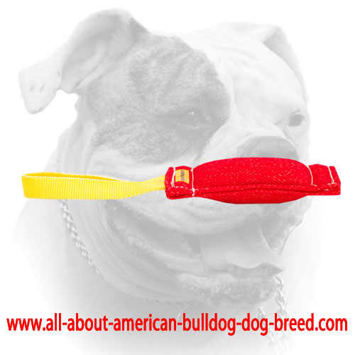 (image for) Great Synthetic-French Linen bite tug 8 inch x 2-1/3 inch