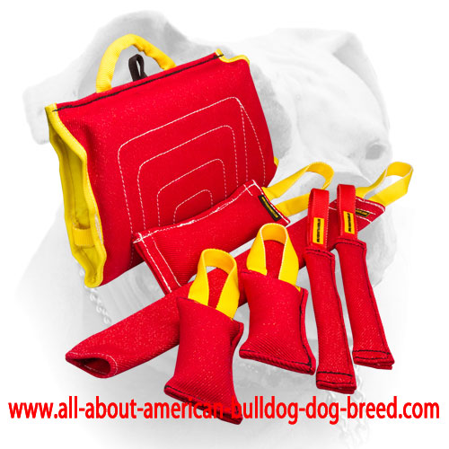 (image for) Bite training set and three great presents of French Linen for American Bulldog