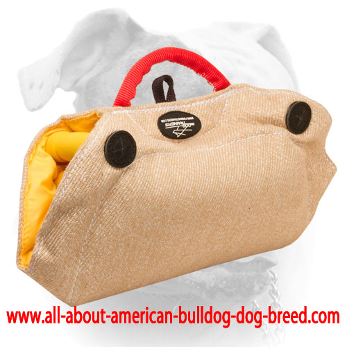(image for) Puppy and Young American Bulldog Jute Bite Builder