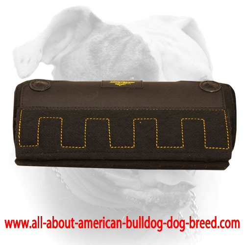 (image for) Bite X-Builder for puppy and young American Bulldog training