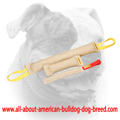 (image for) American Bulldog Jute Bite Tugs for Effective Training