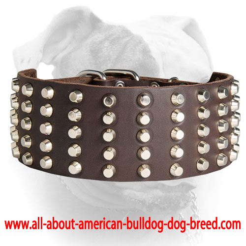 (image for) Leather American Bulldog Collar Pyramid Studed