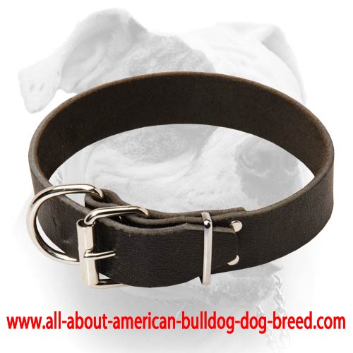 (image for) Classic Style Leather Dog Collar for American Bulldog Breed